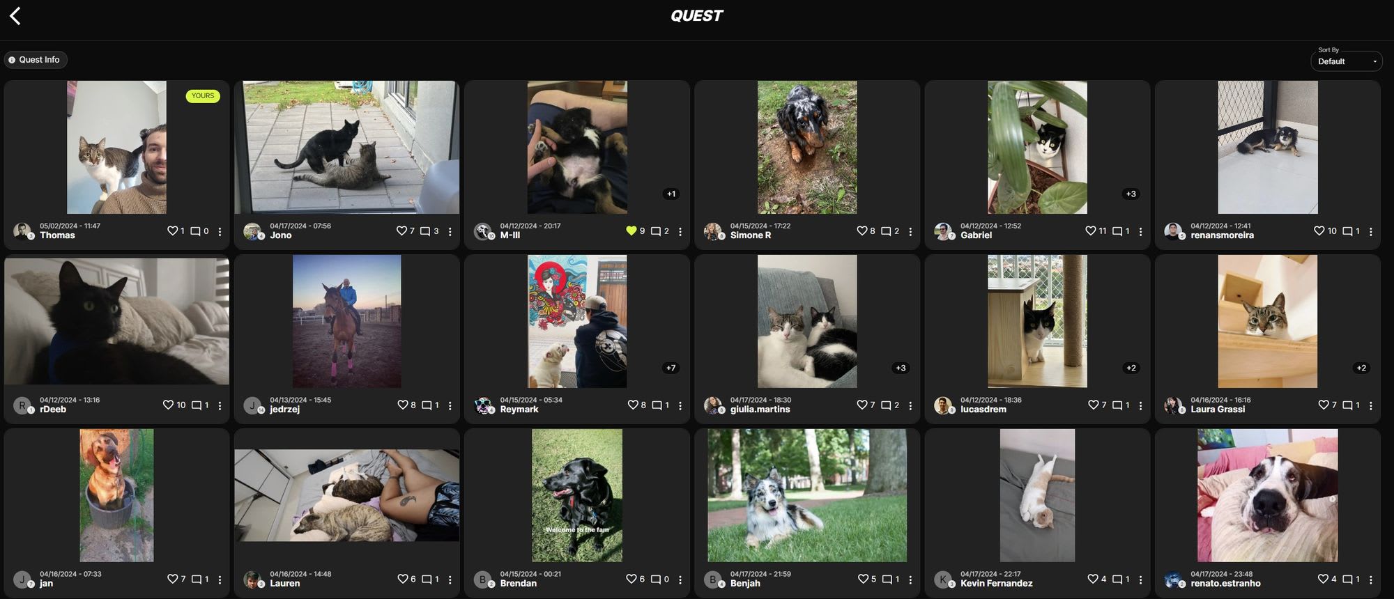 A group of photos of X-Teamer pets