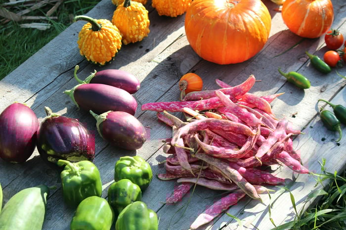 Laura Roy on Living Entirely Off the Produce From Her Farm image
